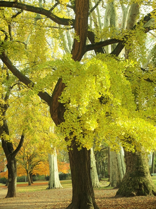 Herbstimpressionen 2019