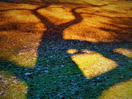 Philosophische Praxis - Licht und Schatten