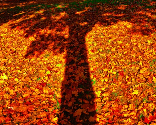 Transparenter Schatten